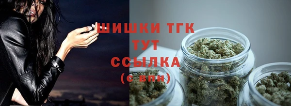 стафф Бронницы