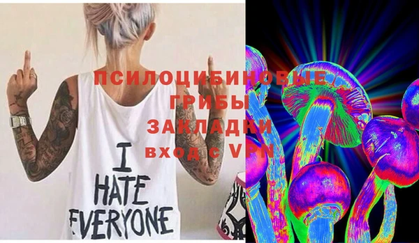ГАЛЛЮЦИНОГЕННЫЕ ГРИБЫ Богородск