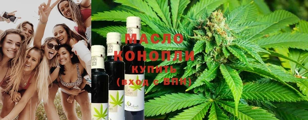 гидра Бородино