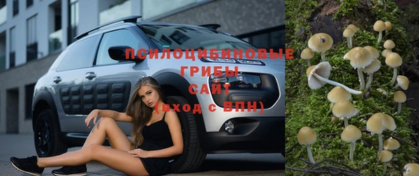 стафф Бронницы