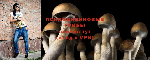 PSILOCYBIN Зеленодольск