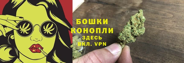 мескалин Богданович