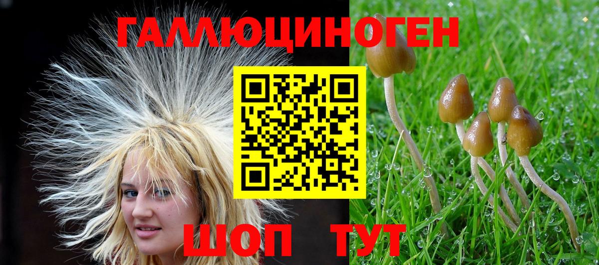 Гашиш  Лсд 25  Гатчина  КОКАИН  ГАШ  Меф МЯУ МЯУ кристаллы  МЕФ  Вход с VPN 
