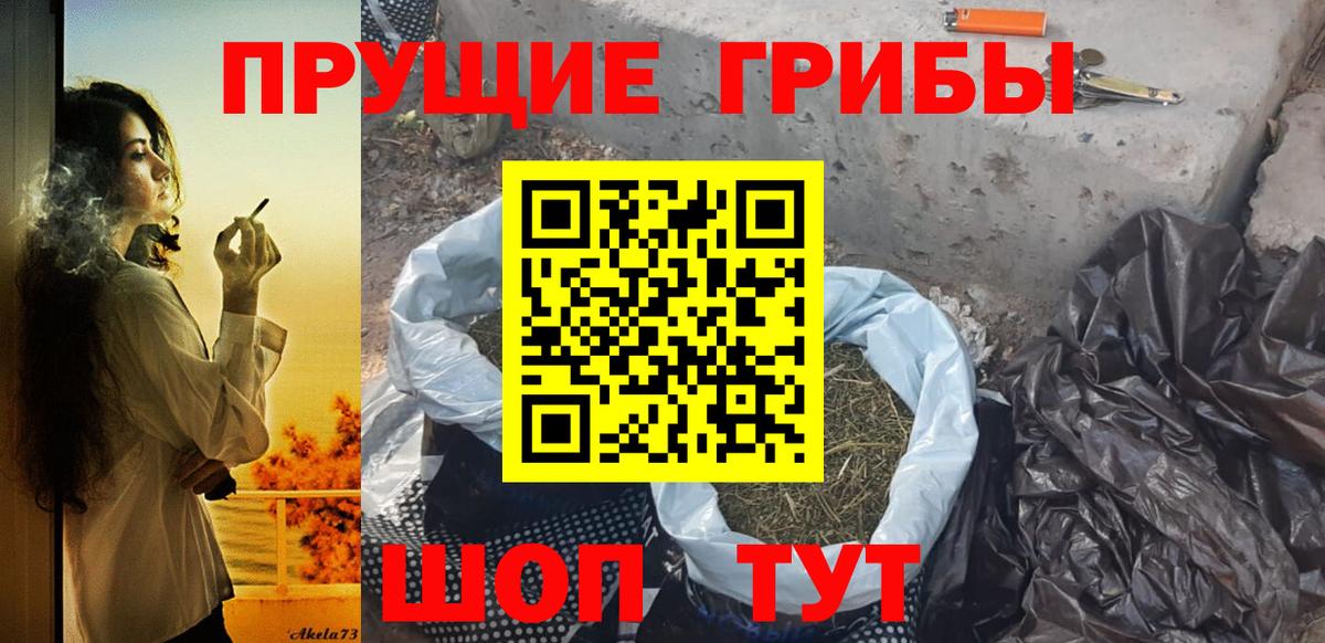 Галлюциногенные грибы Psilocybe  Вход с VPN  Псилоцибиновые грибы GOLDEN TEACHER  Гатчина 