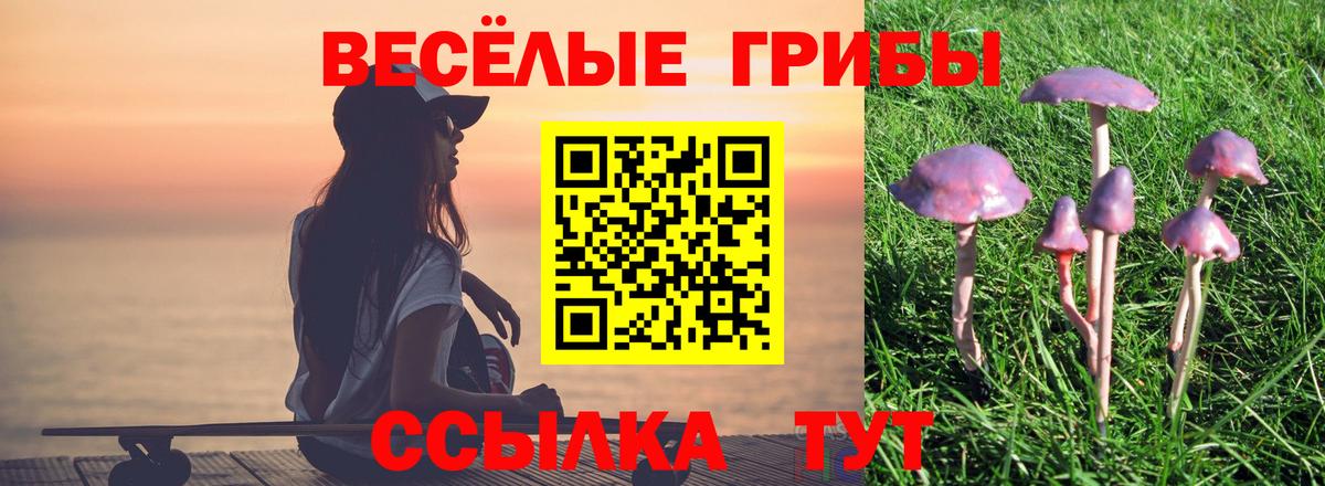 Галлюциногенные грибы мицелий  Гатчина  Галлюциногенные грибы ЛСД 