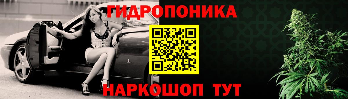 Канабис SATIVA & INDICA Гатчина
